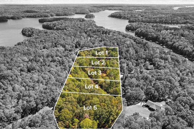 04 Camp Creek Rd, Townville, SC 29689 - photo 5