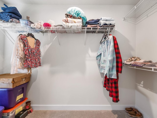 1848 Sourwood Dr, Woodruff, SC 29388 - spacious closet featuring carpet