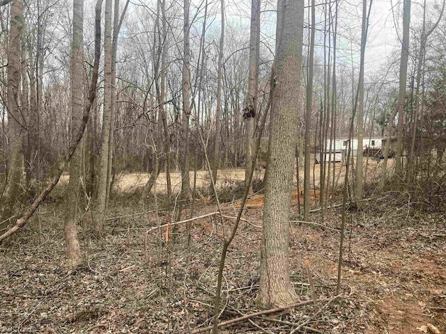 167 Rockingham Rd, Duncan, SC 29334