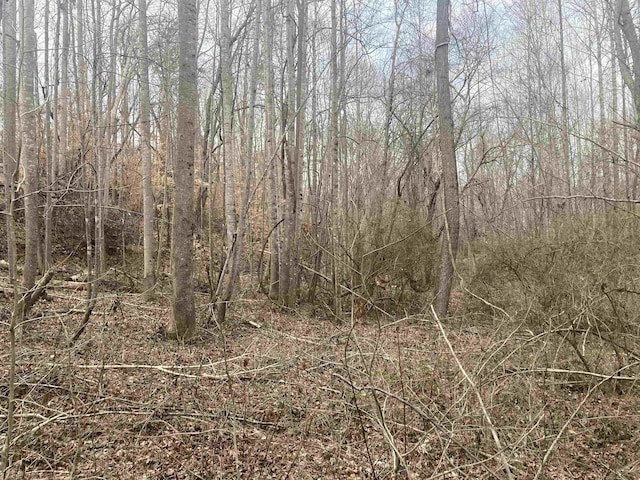 167 Rockingham Rd, Duncan, SC 29334