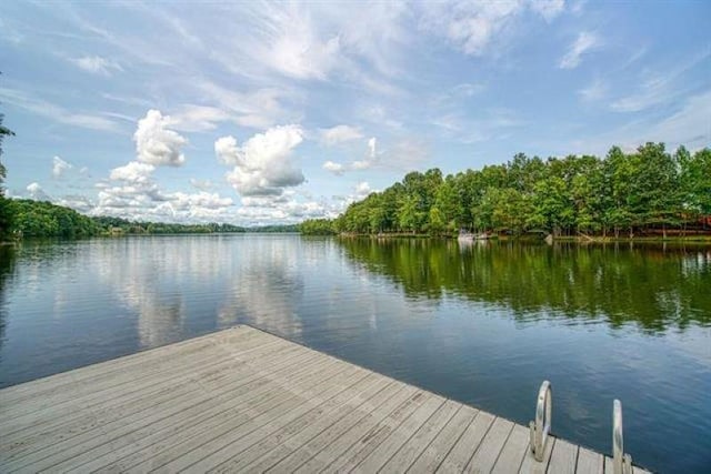 217 Aqua Cove Ct, Inman, SC 29349 - dock with a water view