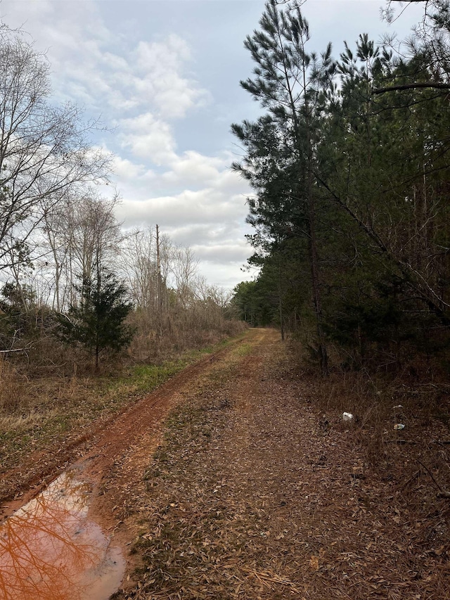 2080 Browning Rd Highway, Enoree, SC 29335 - photo 3