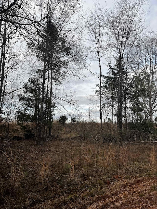 2080 Browning Rd Highway, Enoree, SC 29335 - photo 4