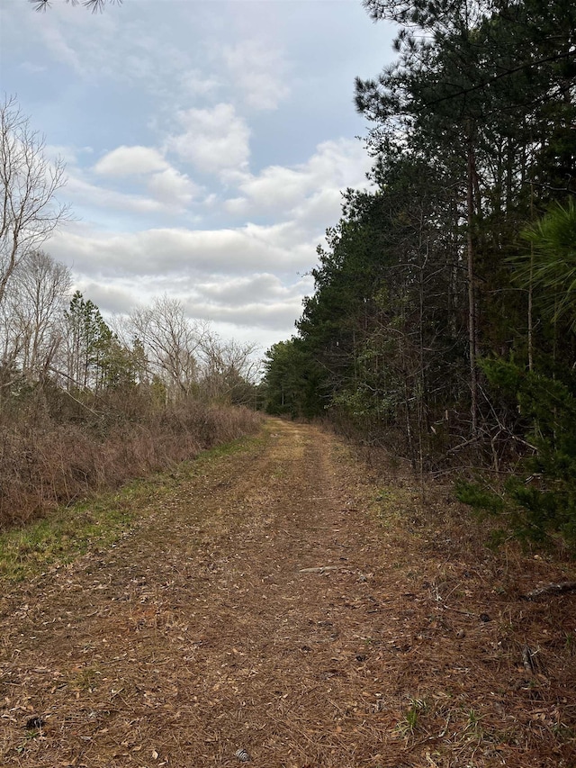 2080 Browning Rd Highway, Enoree, SC 29335 - photo 5