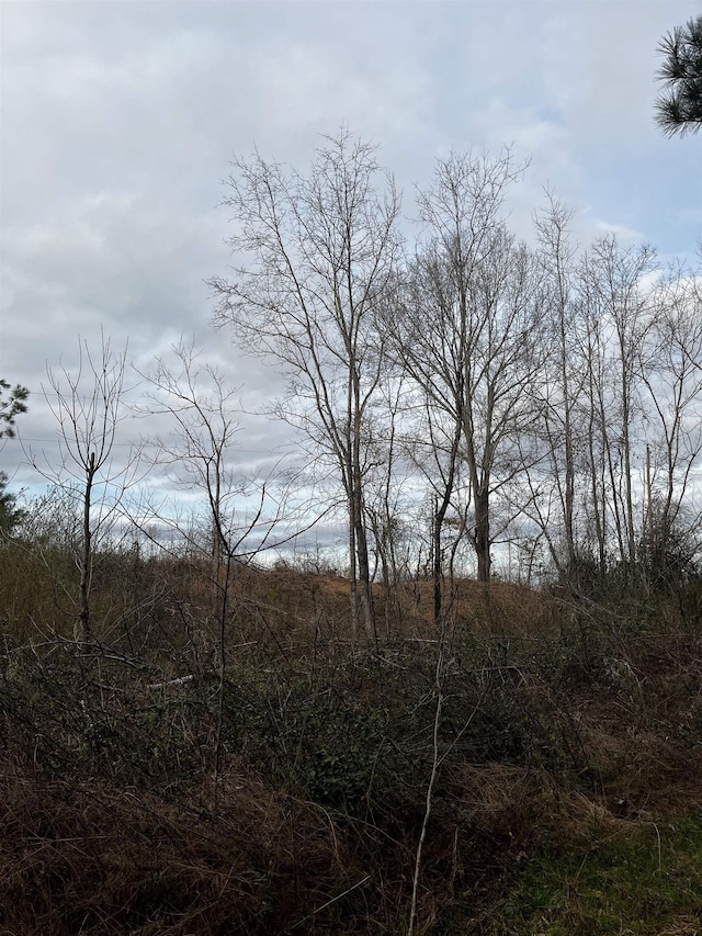 2080 Browning Rd Highway, Enoree, SC 29335 - photo 6