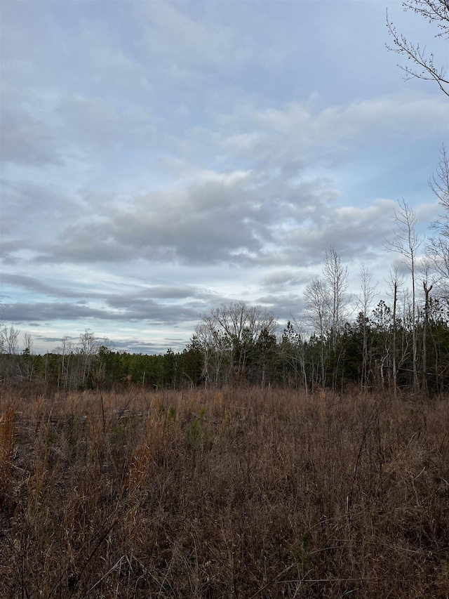 2080 Browning Rd Highway, Enoree, SC 29335 - photo 8