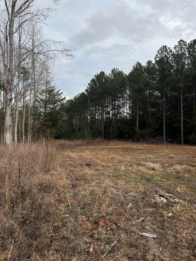 2080 Browning Rd Highway, Enoree, SC 29335 - photo 9
