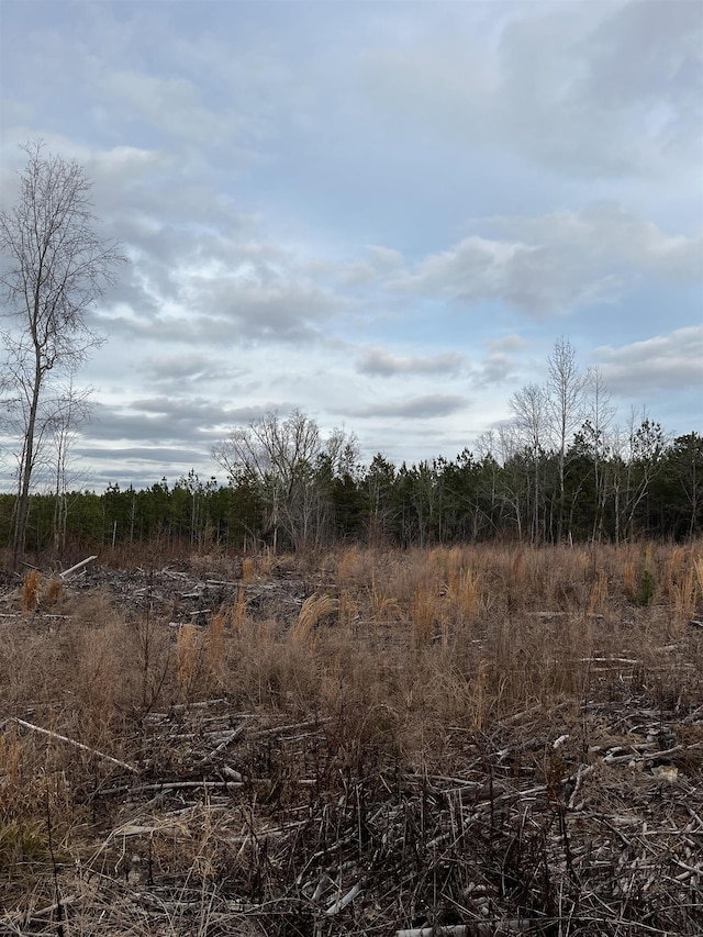 2080 Browning Rd Highway, Enoree, SC 29335 - photo 11