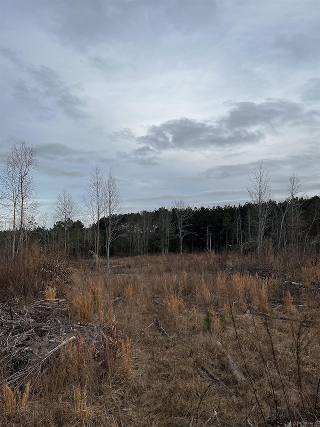 2080 Browning Rd Highway, Enoree, SC 29335 - photo 17