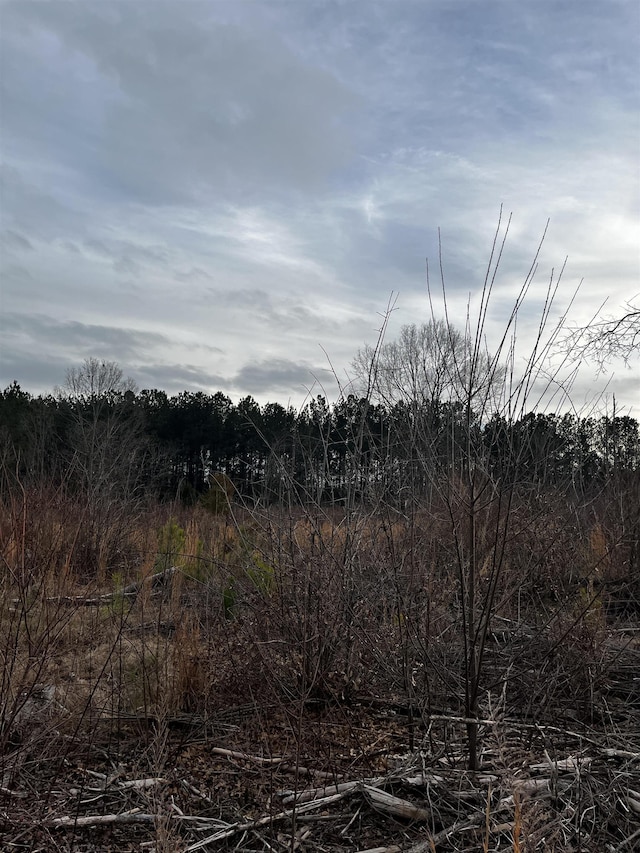 2080 Browning Rd Highway, Enoree, SC 29335 - photo 18