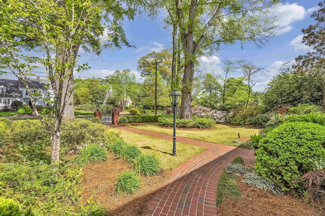 486 Connecticut Ave, Spartanburg, SC 29302 - photo 47