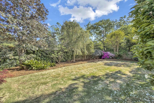 486 Connecticut Ave, Spartanburg, SC 29302 - photo 37