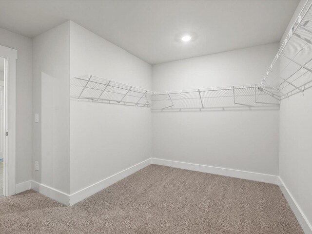 807 Burghley Cir, Greer, SC 29651 - photo 29