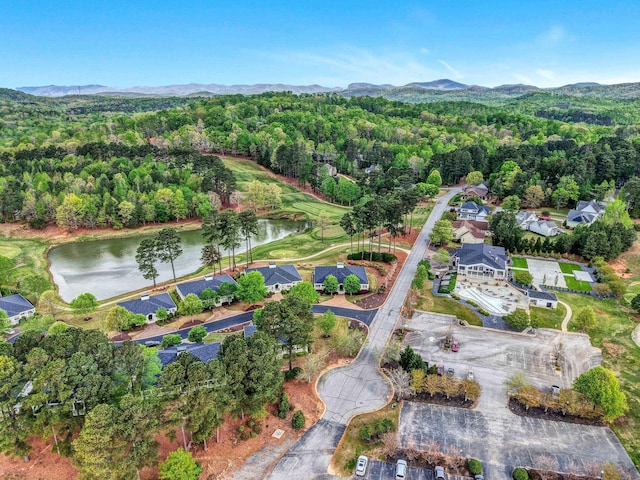 204 Lord Byron Ln, Travelers Rest, SC 29690 - aerial overview of property's location featuring a water and mountain view and a forest