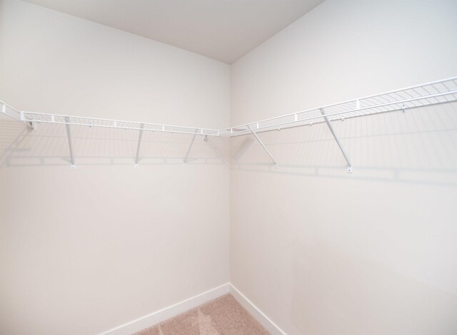 521 Preakness Run, Spartanburg, SC 29301 - spacious closet featuring light carpet