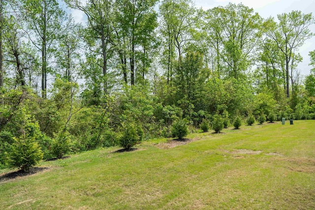521 Preakness Run, Spartanburg, SC 29301 - view of grassy yard
