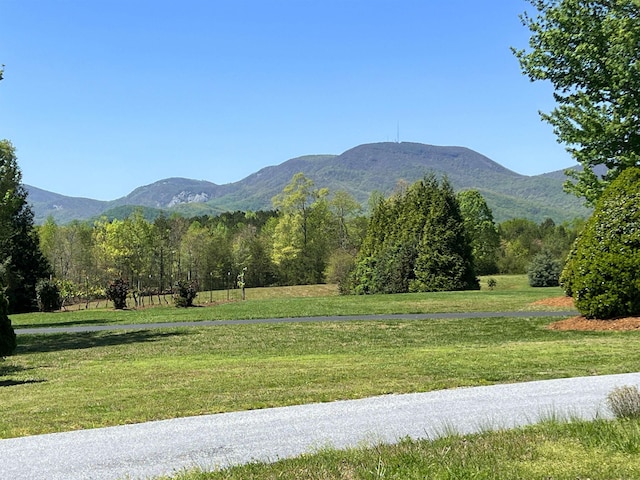 101 Moccasin Way, Landrum, SC 29356 - photo 3