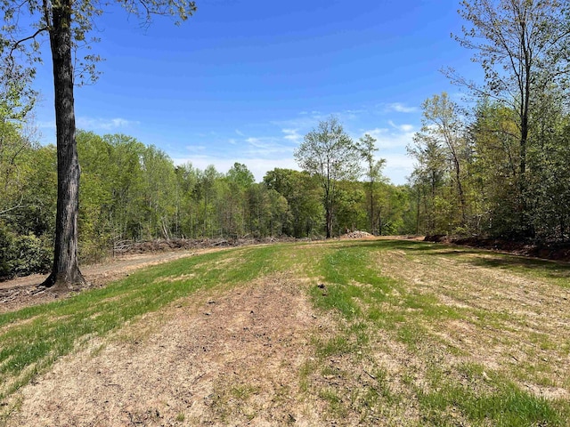 101 Moccasin Way, Landrum, SC 29356 - photo 23