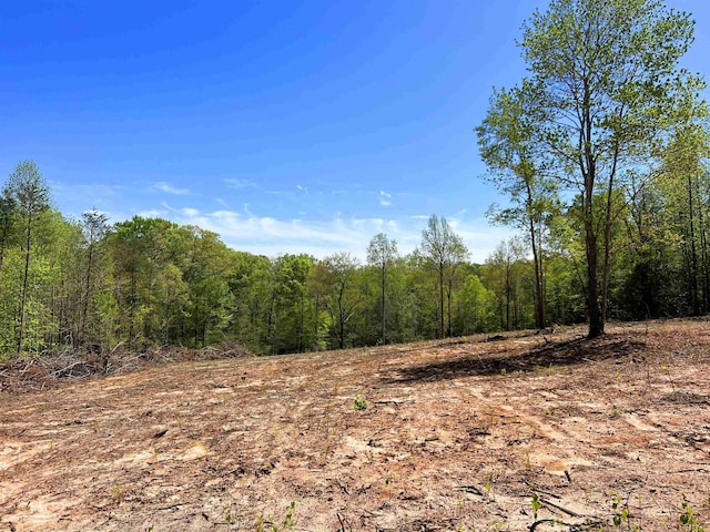101 Moccasin Way, Landrum, SC 29356 - photo 25