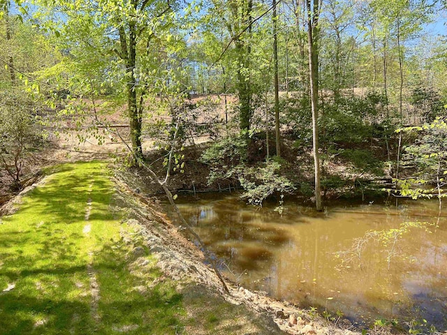 101 Moccasin Way, Landrum, SC 29356 - photo 26