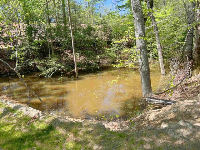 101 Moccasin Way, Landrum, SC 29356 - photo 27