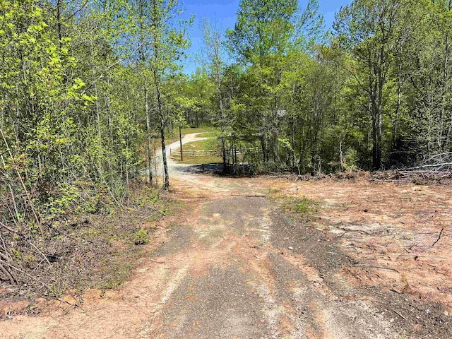 101 Moccasin Way, Landrum, SC 29356 - photo 28