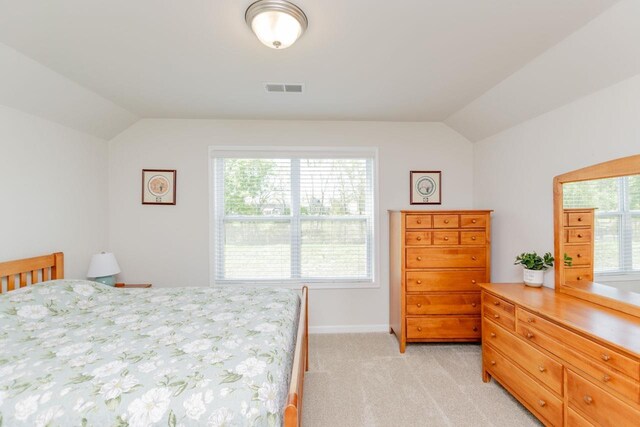 5 Yellow Fox Rd, Greer, SC 29650 - bedroom featuring lofted ceiling, multiple windows, and light colored carpet