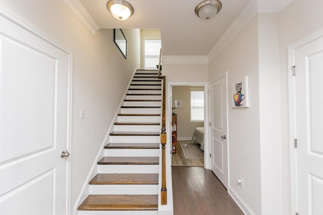 5 Yellow Fox Rd, Greer, SC 29650 - staircase with crown molding and wood finished floors