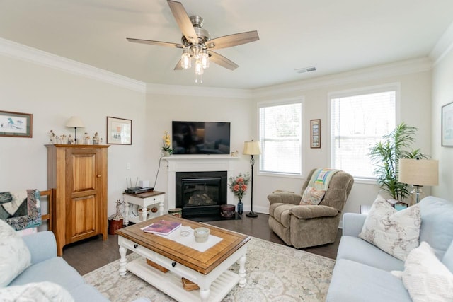 5 Yellow Fox Rd, Greer, SC 29650 - living area featuring crown molding, wood finished floors, a glass covered fireplace, and a ceiling fan