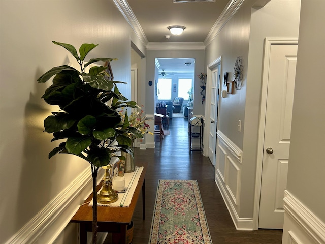 5 Yellow Fox Rd, Greer, SC 29650 - hall with dark wood-style flooring and crown molding