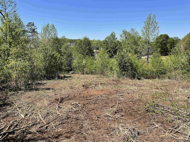 350 Lyman Lake Rd, Lyman, SC 29365 - photo 2