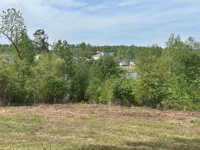 350 Lyman Lake Rd, Lyman, SC 29365 - photo 3