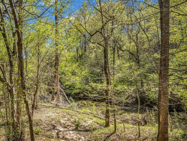 147 Cove Hollow Rd, Rutherfordton, NC 28139 - photo 44