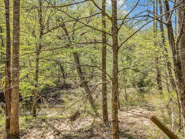147 Cove Hollow Rd, Rutherfordton, NC 28139 - photo 43
