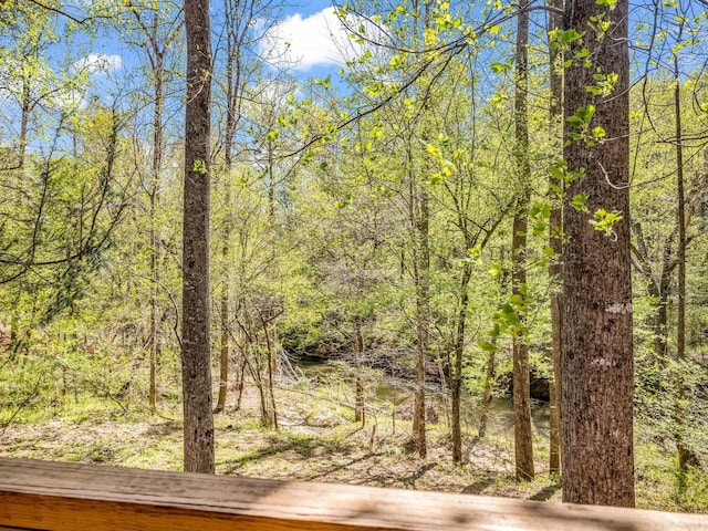 147 Cove Hollow Rd, Rutherfordton, NC 28139 - photo 18