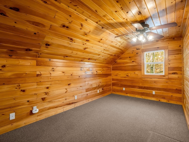 147 Cove Hollow Rd, Rutherfordton, NC 28139 - photo 29