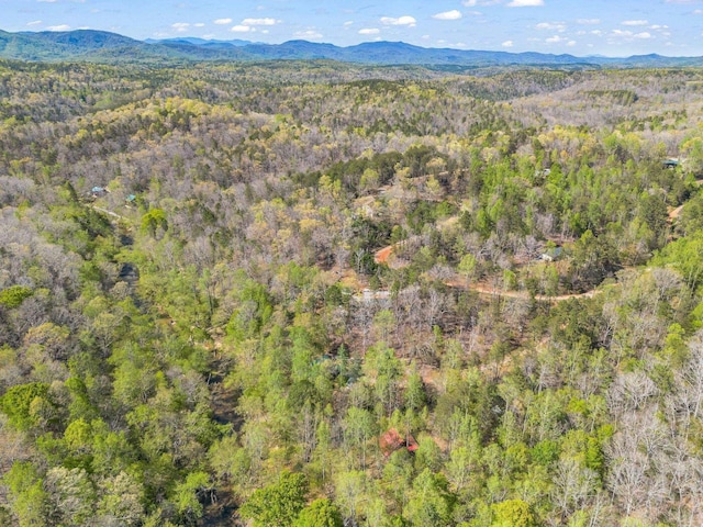 147 Cove Hollow Rd, Rutherfordton, NC 28139 - photo 39