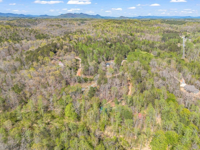 147 Cove Hollow Rd, Rutherfordton, NC 28139 - photo 40