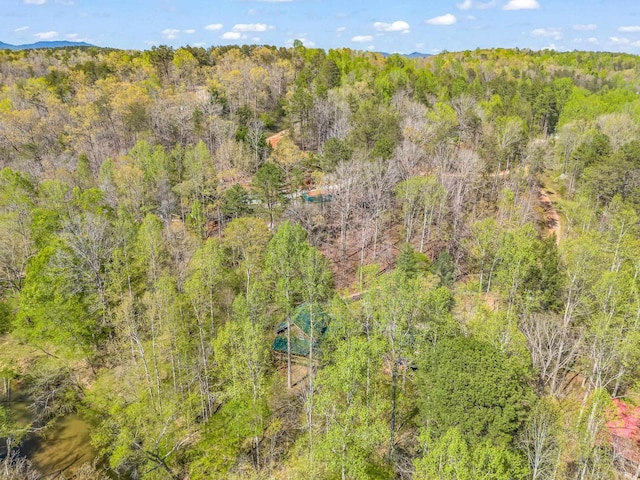 147 Cove Hollow Rd, Rutherfordton, NC 28139 - photo 41