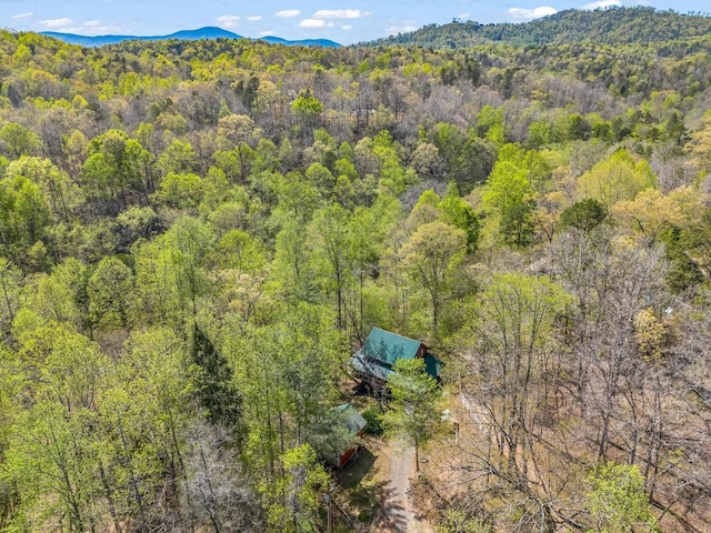 147 Cove Hollow Rd, Rutherfordton, NC 28139 - photo 42