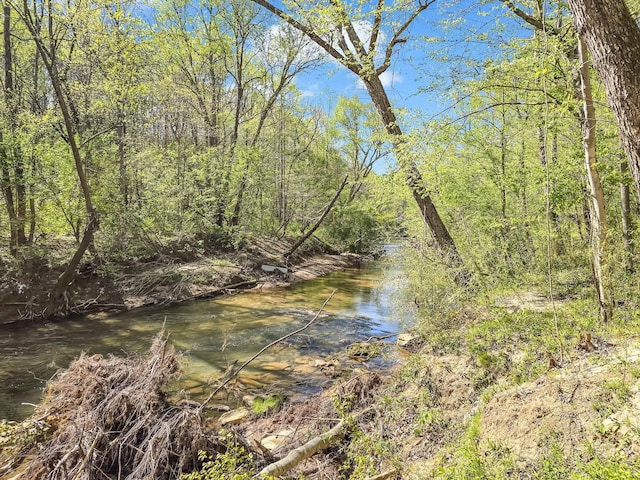 147 Cove Hollow Rd, Rutherfordton, NC 28139 - photo 46