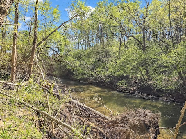 147 Cove Hollow Rd, Rutherfordton, NC 28139 - photo 45