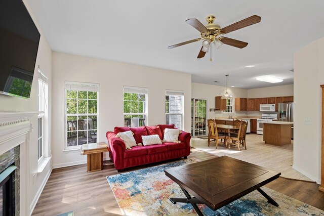 513 Scarlet Oak Dr, Fountain Inn, SC 29644 - photo 6