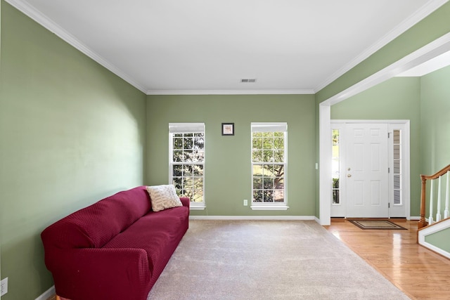 513 Scarlet Oak Dr, Fountain Inn, SC 29644 - photo 12
