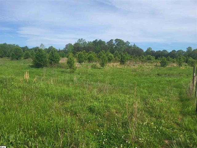00 Babb Rd, Greer, SC 29651 - photo 6