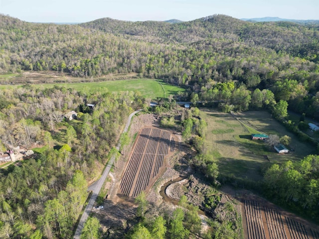 101 Terry Creek Rd, Travelers Rest, SC 29690 - photo 3
