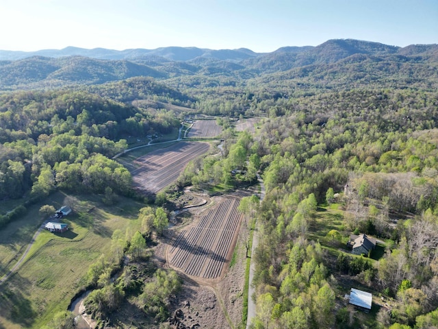 101 Terry Creek Rd, Travelers Rest, SC 29690 - photo 4