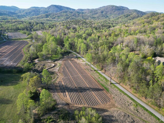 101 Terry Creek Rd, Travelers Rest, SC 29690 - photo 5