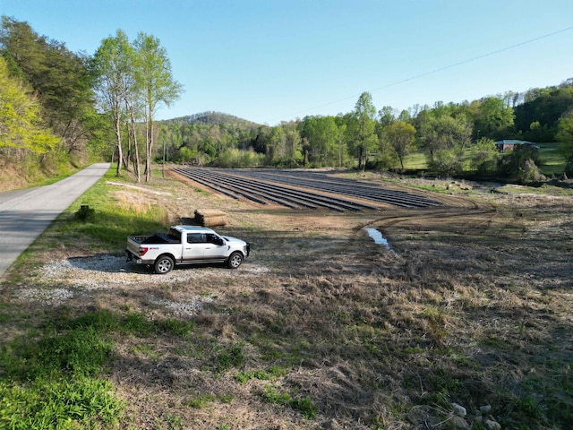 101 Terry Creek Rd, Travelers Rest, SC 29690 - photo 12