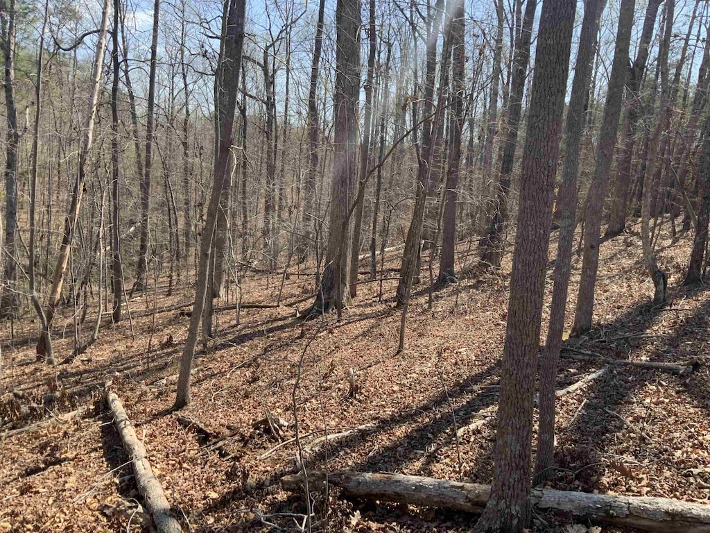 0 Wicklow Rd, Campobello, SC 29322